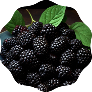 Blackberry