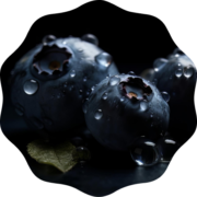Blueberry Blueberry