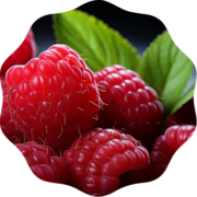 Raspberry Raspberry